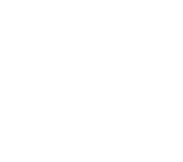 Bluesky Logo